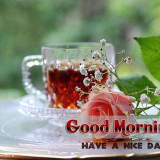 Have a nice day wallpaper