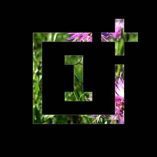 OnePlus logo wallpaper