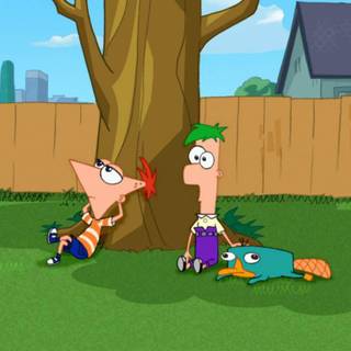 Phineas wallpaper