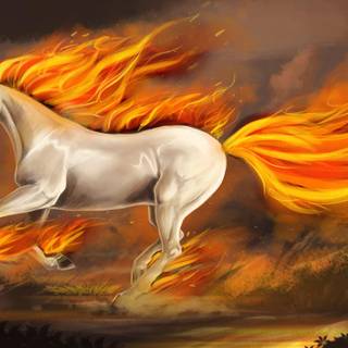 Rapidash HD wallpaper