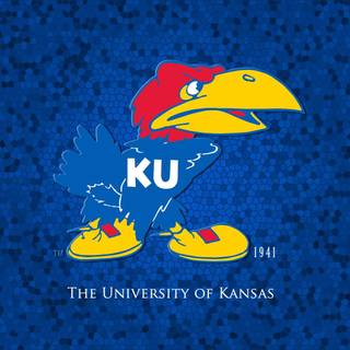 KU basketball wallpaper