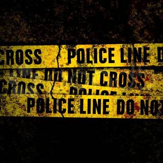 INTERPOL police wallpaper