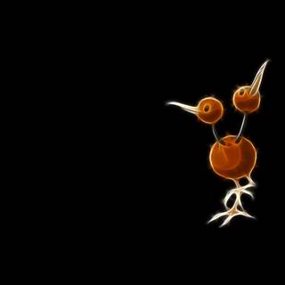 Doduo HD wallpaper