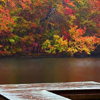 A Quiet Place wallpaper