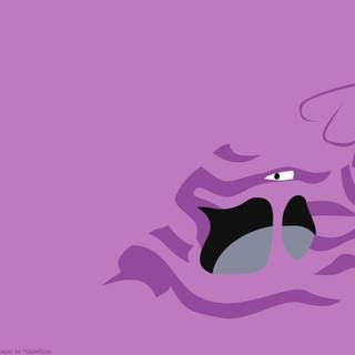 Muk HD wallpaper