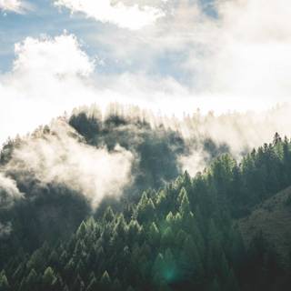 Latest nature 2018 wallpaper