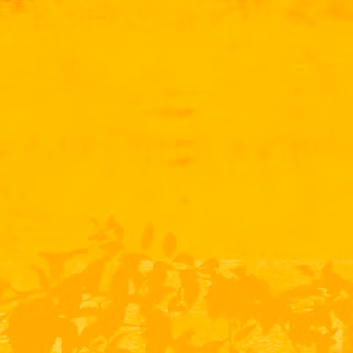 Yellow Abstract wallpaper