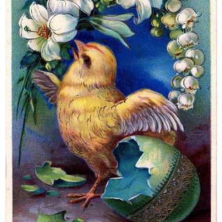 Baby chicks Easter wallpaper