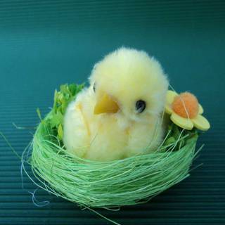 Baby chicks Easter wallpaper