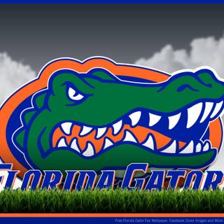 University of Florida wallpaper