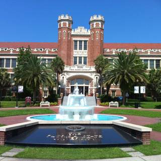University of Florida wallpaper
