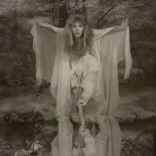 Stevie Nicks wallpaper