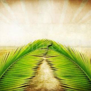 Palm Sunday wallpaper