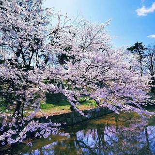 Spring nature HD wallpaper