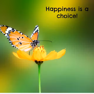 Happy quotes wallpaper