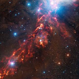 Orion nebula wallpaper