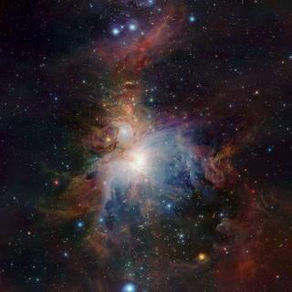 Orion nebula wallpaper