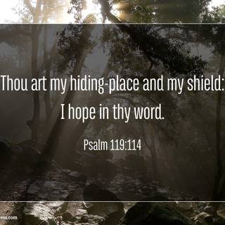 Psalm 119:120 wallpaper