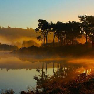 African savanna wallpaper