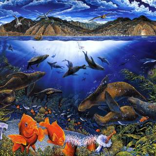 Sea life HD wallpaper