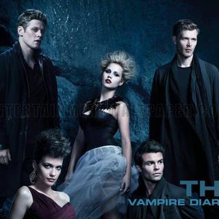 Delena The Vampire Diaries wallpaper