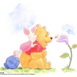Baby winnie the pooh wallpaper