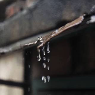 Water drop focus wallpaper