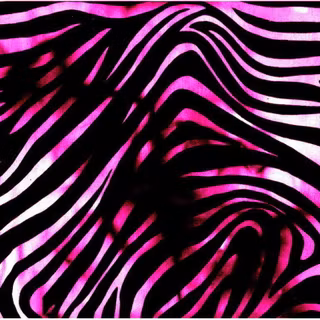 Pink zebra wallpaper