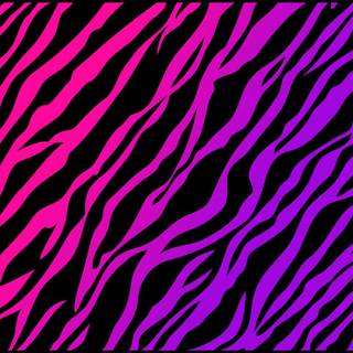 Pink zebra wallpaper