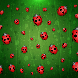 Bugs wallpaper