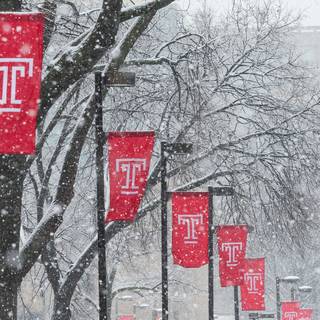 University wallpaper