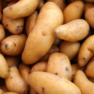 Potatoes wallpaper
