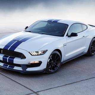 Mustang GT500 HD wallpaper