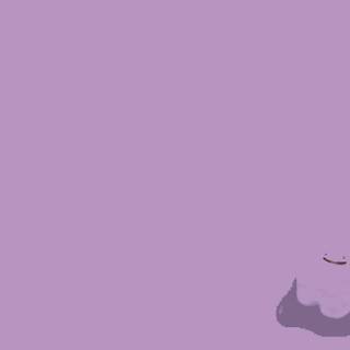 Ditto HD wallpaper