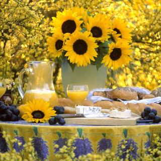 Fantastic picnic wallpaper