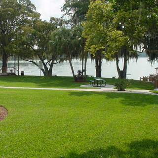 Fantastic picnic wallpaper