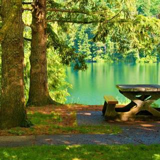 Fantastic picnic wallpaper