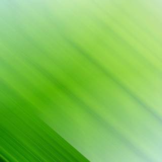 Abstract green wallpaper