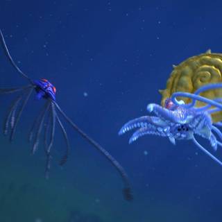 Omastar HD wallpaper