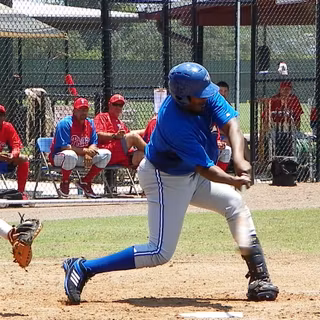 Vladimir Guerrero Jr. wallpaper