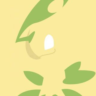 Bayleef HD wallpaper