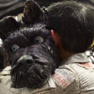 Isle of Dogs wallpaper