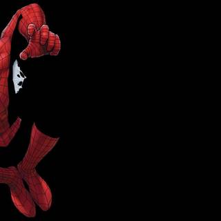 Cool spider wallpaper