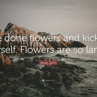 Steve Zahn wallpaper