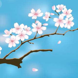 Spring flowers 2018 wallpaper