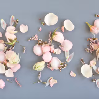 Spring flowers 2018 wallpaper