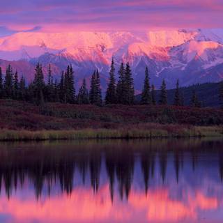 Denali National Park and Preserve wallpaper