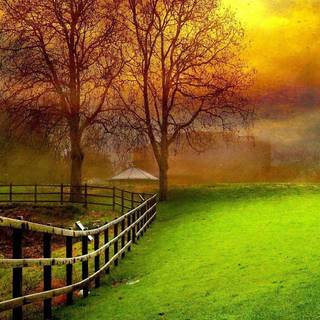 3D HD nature wallpaper for mobile