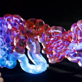 Neri Oxman wallpaper