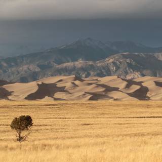 Great Sand Dunes National Park and Preserve wallpaper